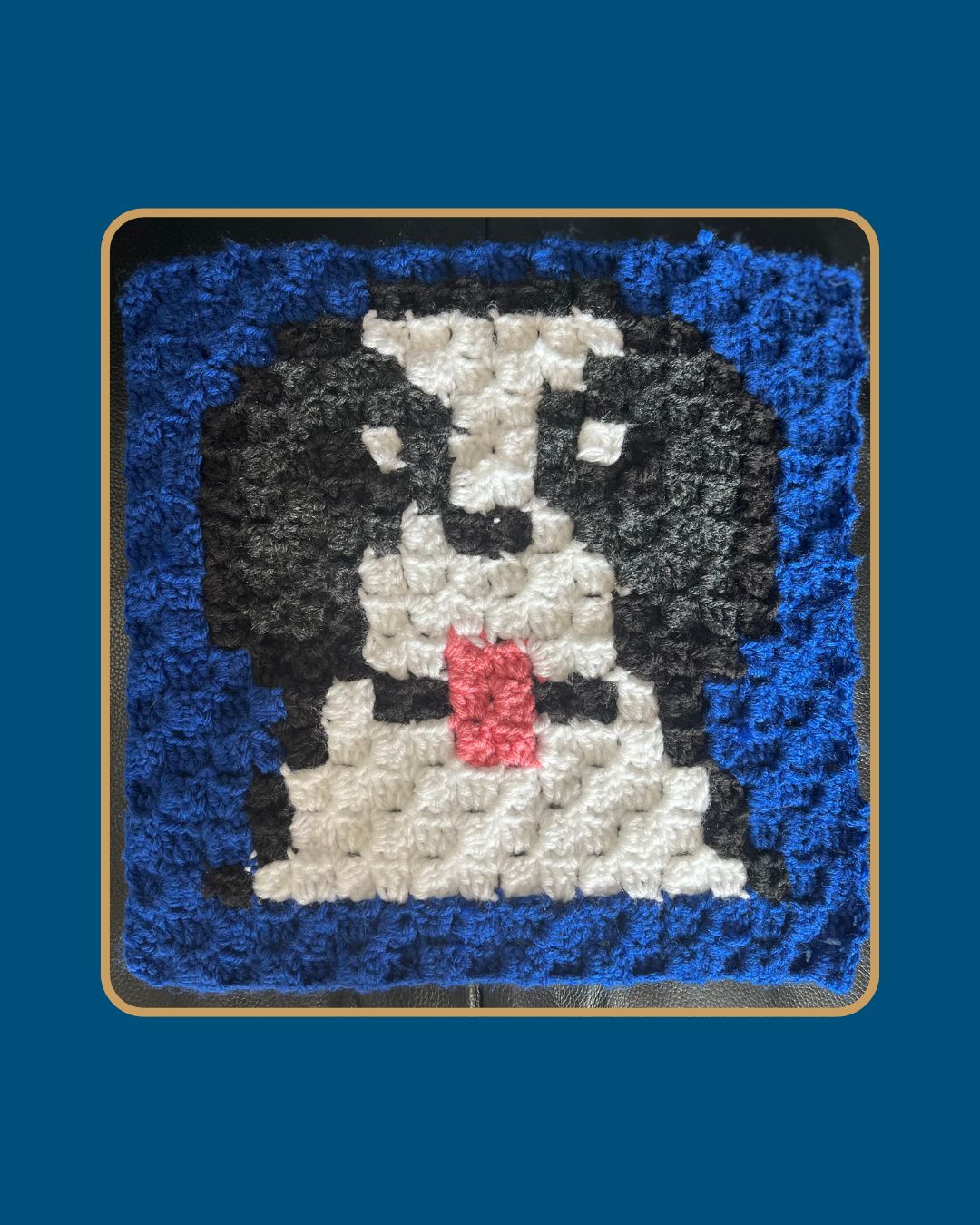 Custom Pixel Pet Crochet Tapestry