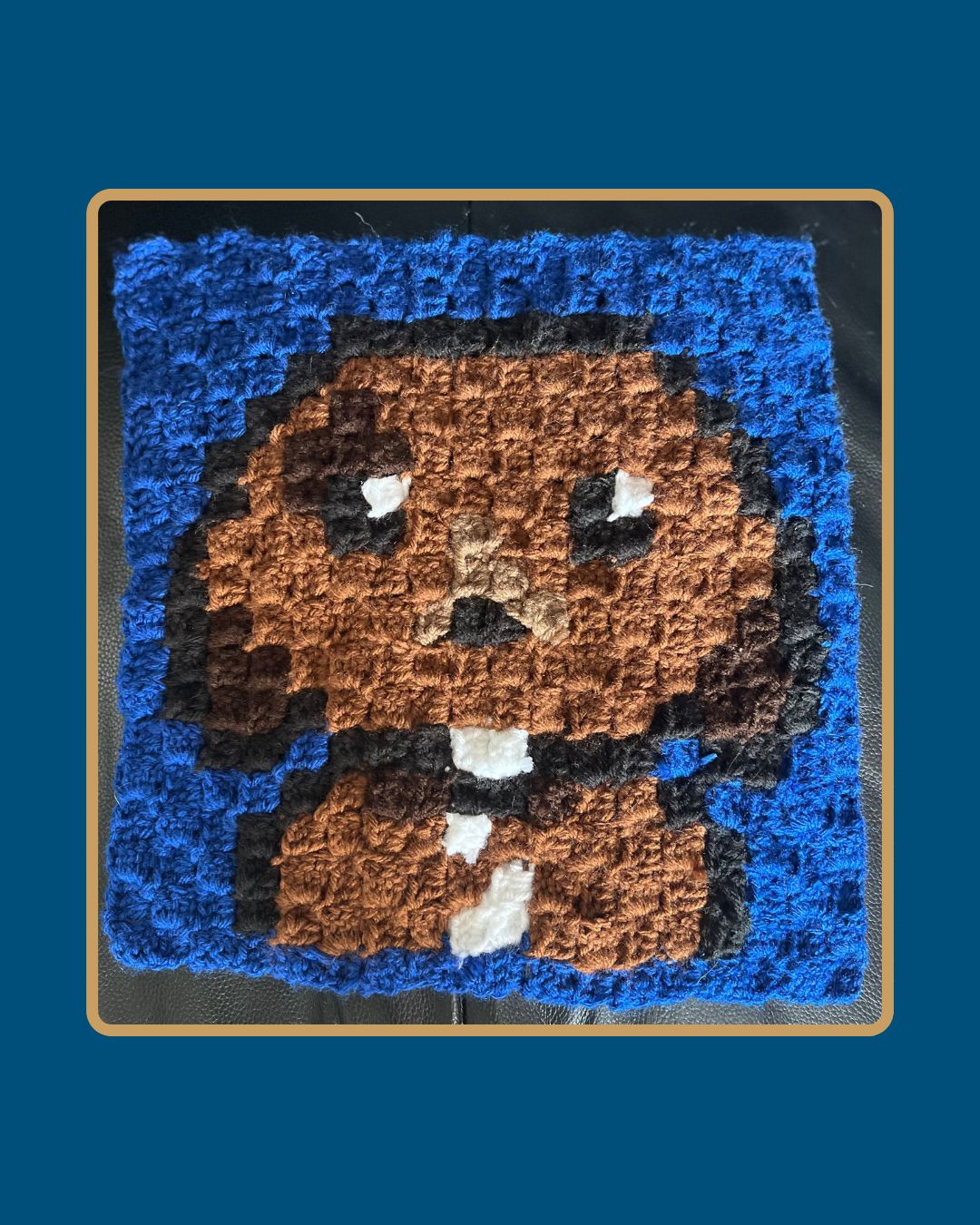 Custom Pixel Pet Crochet Tapestry